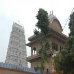 Vraj-Yatra-2014- (1544)